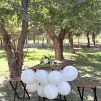 فروش ویژه میز و صندلی نهار خوری چوبی فلزی/تاشو|میز و صندلی غذاخوری|نجفآباد, شهید رجایی|دیوار