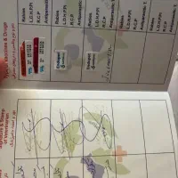 گربه هیمالین cream point|گربه|تبریز, |دیوار