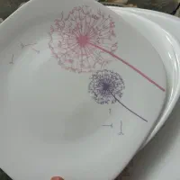 ۲ دست سرویس اوپال
