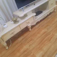 زیر تلویزیونی