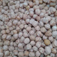 فروش‌‌حدود۳۵۰‌کیلونخود‌دست‌چین‌ترکیه