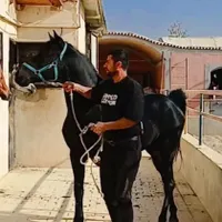 باشگاه سوارکاری