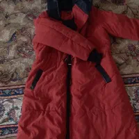 کت و پالتو نو