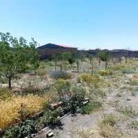 باغ ویلا در شهرستان فریمان بمتراژ 1200متر|فروش خانه و ویلا|فریمان, |دیوار