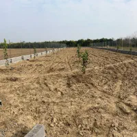 زمین باغی ۹۱۰متری|فروش زمین و ملک کلنگی|کیاکلا, |دیوار