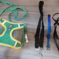 قلاده کاملا نو و موزر پاستیل گربه وسگ های مو کوتاه