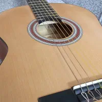 گیتار پارسی m2