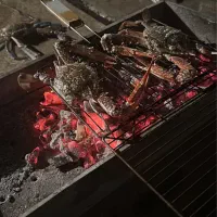 واگذاری بساتی کباب و قلیان