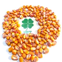 بذریونجه پایه بلندسس گیری