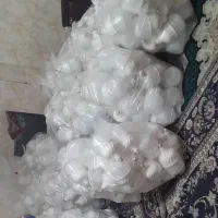 تا آخر آبان  با تخفیف ویژه