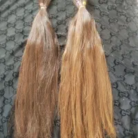 موی بور و طلایی