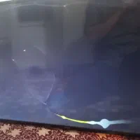 تلویزیون|تلویزیون و پروژکتور|تهران, جوانمردان (اندیشه)|دیوار