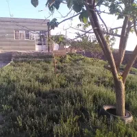 زمین در بافت روستا|پیشفروش املاک|ملکآباد, |دیوار