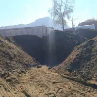 کودگوسفند|خدمات باغبانی و درختکاری|کرمان, |دیوار