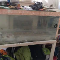 اکواریوم و پایه و لوازم