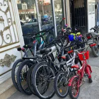 فالانفوراستوک/شرایطی