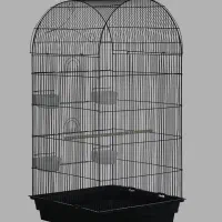 دو عدد عروس هلندی و یه قفس|پرنده|ایوان, |دیوار