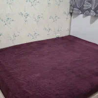 تخت خواب دو نفره|تخت و سرویس خواب|پاکدشت, پاکدشت (مامازند)|دیوار