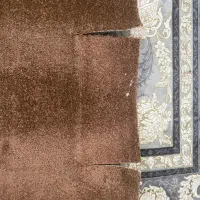 موکت پالاز|موکت|اهواز, شهرک نفت|دیوار