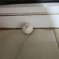 سنگ لونسدالیت یا سنگ الماس