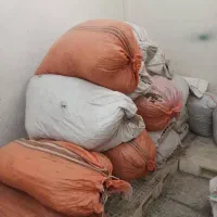 نعناع فلفلی عمده|عمده‌فروشی|مرند, |دیوار