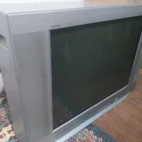 تلوزیون