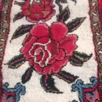 دوعدد پادری خوشرنگ|پادری|تبریز, |دیوار