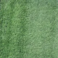 چمن مصنوعی|عمدهفروشی|محمدیه-قزوین, |دیوار