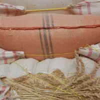 کاه گندم دیم
