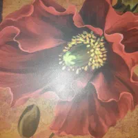 گلدون شمعدون و شکلات خوری