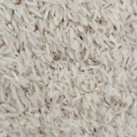 برنج طارم دم سیاه اب رودخانه