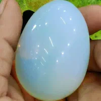 سفیده تخم مرغ