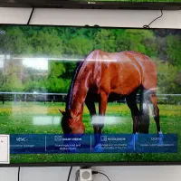 جشنواره یلدایی تلویزیون های اسنوا