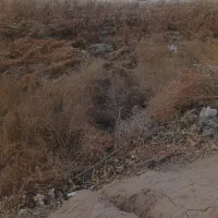 زمین-310متر