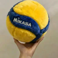 بازیکن والیبال