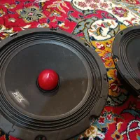 میدرنج ۸ اینچ