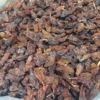 کشمش (مویز)درجه یک امسال