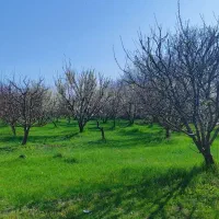 باغچه الوان  امکانات