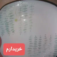 این مدل آرکوپال فرانسه|ظروف سرو و پذیرایی|اهواز, نبوت|دیوار