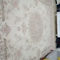 فروش|فرش|تهران, شهرک رضویه|دیوار
