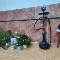 قلیان کرنو اصل به همراه کیف