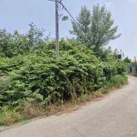 زمین مسکونی ۱۵۰۰متری در سیاهکلرود|فروش زمین و ملک کلنگی|چابکسر, |دیوار