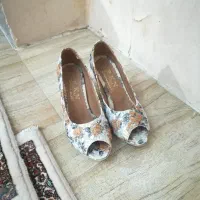کفش مجلسی لژدار