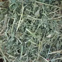 یونجه اعلا خرگوش و خوکچه