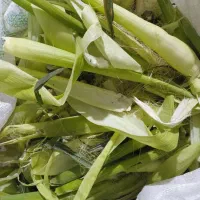 علوفه ی بلال|حیوانات مزرعه|نسیم‌شهر, |دیوار