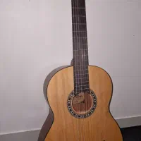 گیتار پالادو
