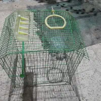 قفس پرنده در حد نو|لوازم جانبی حیوانات|بندر انزلی, زنبق|دیوار