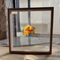 تابلو زیبا برگ پاییزی|تابلو، نقاشی، عکس|بیرجند, |دیوار