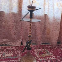 فروش فوری قیلیون عربی درجه یک با قیمت مناسب