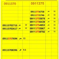 09113751329